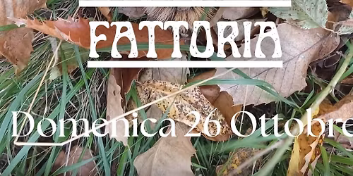 Castagnata in Fattoria