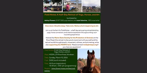 Field Notes: A Half-Day Retreat of Yoga, Horses and Art (FULL!)