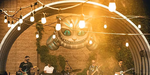 The Psychophonics live on the patio at In the Zone!