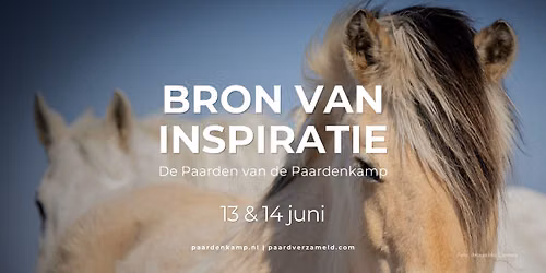 Bron van inspiratie | Kunstexpositie
