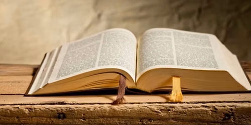 Bible Studies - choose the one that best suits you
