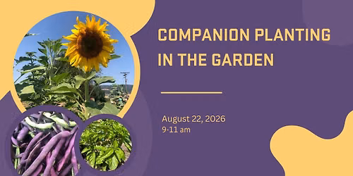 Companion Planting in the Garden