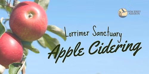 Apple Cidering