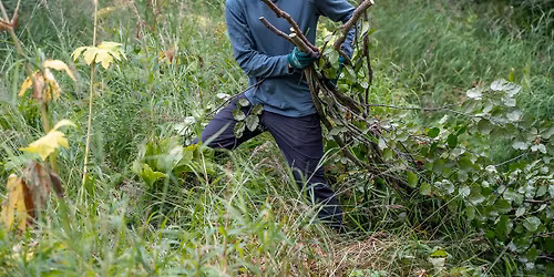 Powerline Pass Trail Brushing Take 1