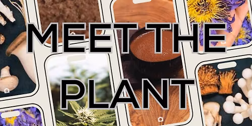 Meet the "Teacher" - Plant Medicine Introduction