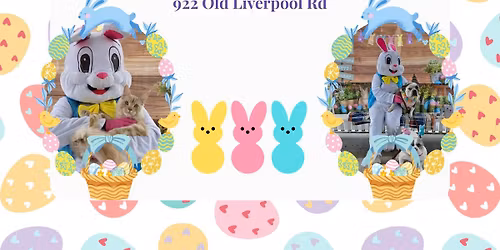 Pet Pictures with the Easter Bunny