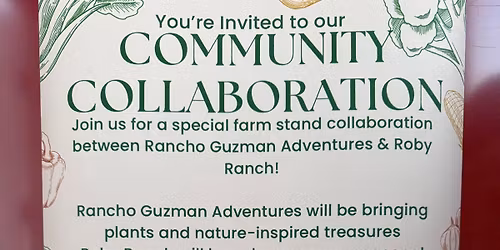 Community Collaboration Day