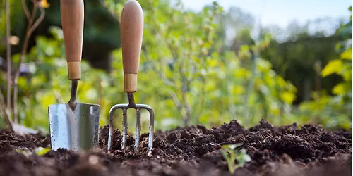 KFF Gardening Working Bee