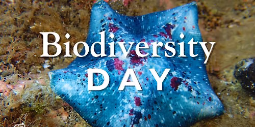 Biodiversity Day at MERC
