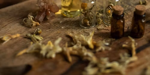 Pohansk\u00e9 Bylinkohran\u00ed 2026