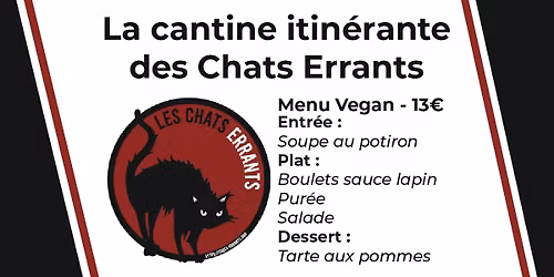 Zeudi gourmand des Chats Errants \u00e0 la Zone