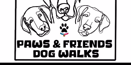 Group free dog walk