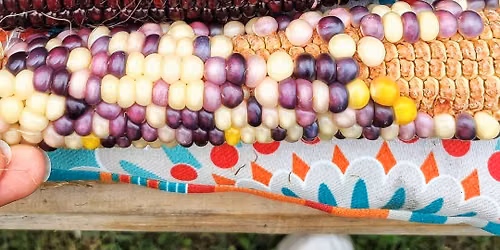 Barcelo Gardens Farmer's Market (9th Ward Garden Location)