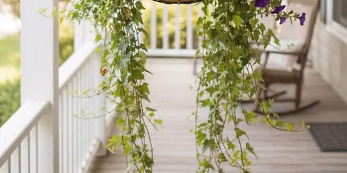 \ud83c\udf38\ud83e\udeb4 CUSTOM HANGING BASKET WORKSHOP! \ud83e\udeb4\ud83c\udf38