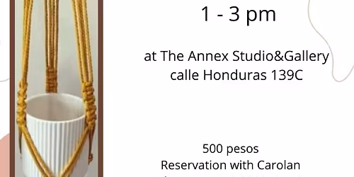 Macrame Plant Hanger