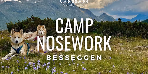 Fullt! Camp Nosework