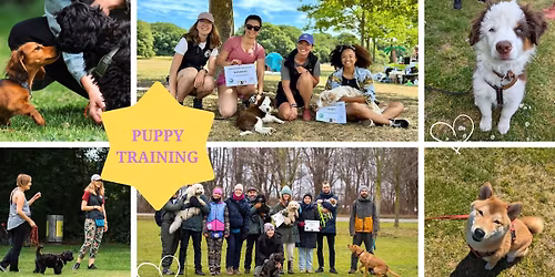 Group Puppy Classes