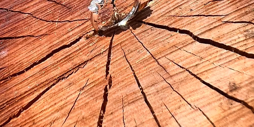 Once Upon A Wishlist