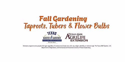 Fall Gardening: Taproots, Tubers & Flower Bulbs