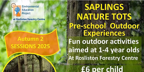 Saplings Nature Tots at Roslsiton Forestry Centre - Autumn term 2