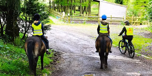 Finding the balance: Understanding rider weight and horse welfare