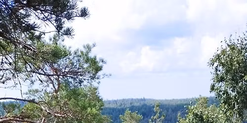 JUURET ja SIIVET-luonto-ja taideretriitti