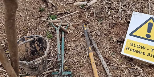Dig Day