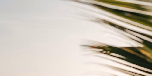 Brunch Up | Live Piano Show