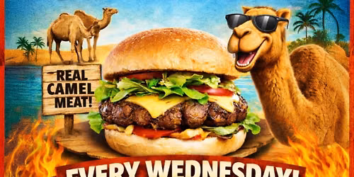 Hump Day Camel Burgers Every Wednesday at The Funky Cuda
