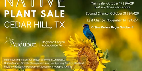 Native Plant Sale: Last Chance Sale