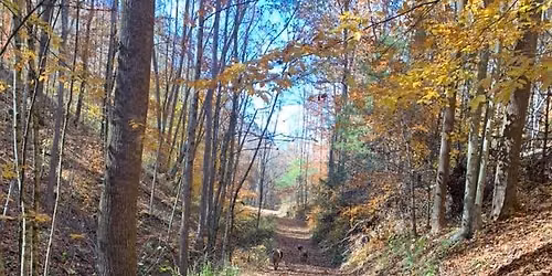 Fall hunter pace