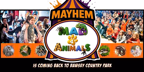 Mayhem of Mad4animals