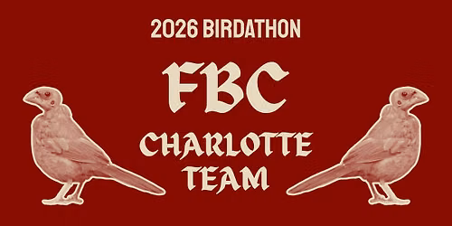 2026 Birdathon: Bird Walk + Final Tally @ Town Brewing Co