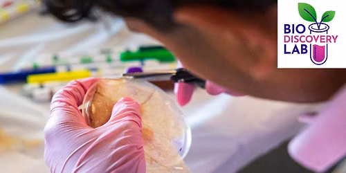  BioDiscovery Lab: Making with Microbes
