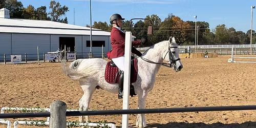 Working Equitation at Blue Goose