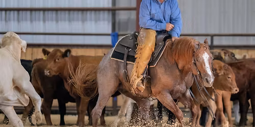 Jackpot Cutting Horse Show - Mineral Wells