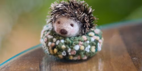 Baby Hedgehog Needle Felting Class