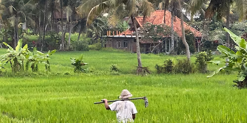 Bali Nourish Retreat