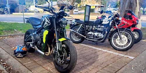 Just-a-Cafe Cruise