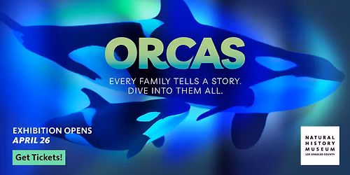 Orcas: Our Shared Future | Member Previews