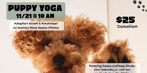 Puppy Yoga & Adoption Event