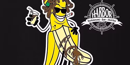 Brian Naughton Band LIVE at Harbor Bar in Red Wing\/Hager City