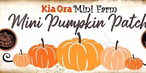 Mini Pumpkin Patch & Spooky Farm
