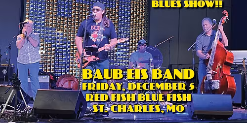 BAUB EIS BAND - Blues Concert