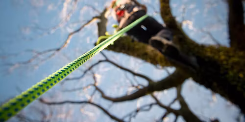 US17151 - Hazards & Safety Requirements for Tree Work Near Electrical Supply Lines