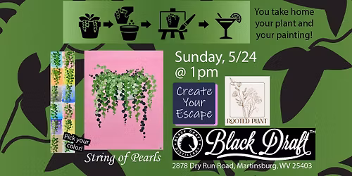 Brushes & Botanicals