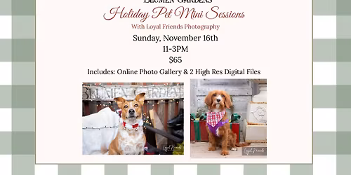 Holiday Mini Pet Sessions