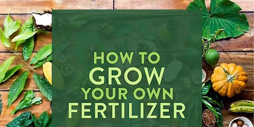 Abundant Summer Gardens \u2014 Growing with the Seasons Workshop Series Part #4
