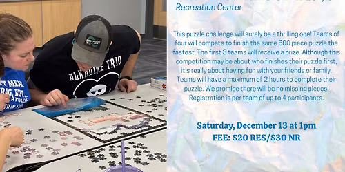 Puzzle Palooza 18+yrs