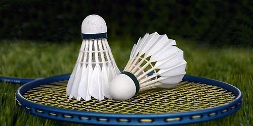 Badminton Night